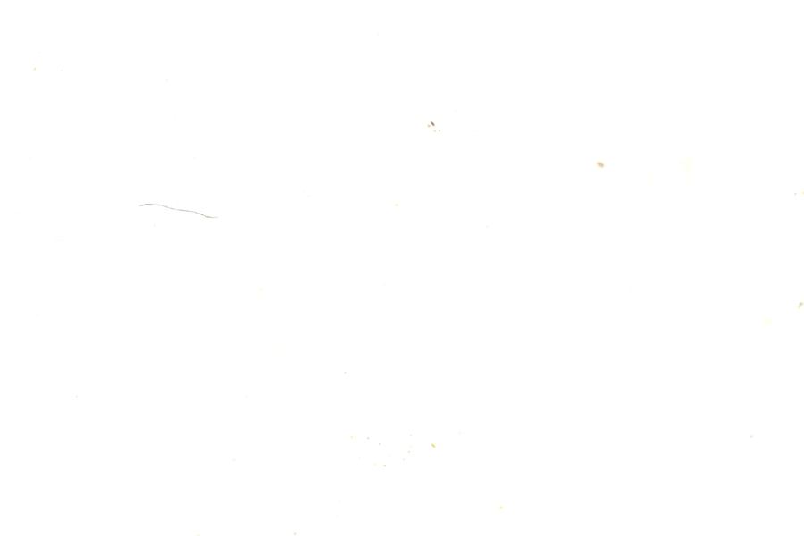 Image 58